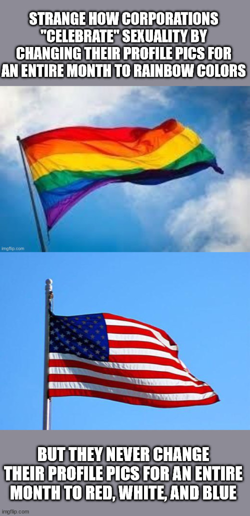 STRANGE HOW CORPORATIONS "CELEBRATE" SEXUALITY BY CHANGING THEIR PROFILE PICS FOR AN ENTIRE MONTH TO RAINBOW COLORS; BUT THEY NEVER CHANGE THEIR PROFILE PICS FOR AN ENTIRE MONTH TO RED, WHITE, AND BLUE | image tagged in gay flag,american flag | made w/ Imgflip meme maker