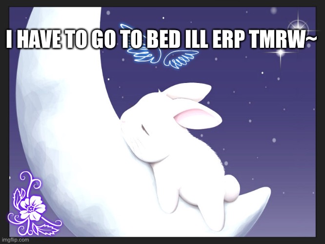 Heh~ | I HAVE TO GO TO BED ILL ERP TMRW~ | image tagged in good night bunny | made w/ Imgflip meme maker