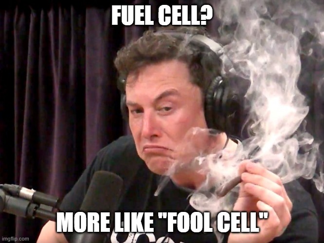 Elon Musk: Fuel Cell? More like "FOOL CELL" | FUEL CELL? MORE LIKE "FOOL CELL" | image tagged in elon musk weed | made w/ Imgflip meme maker