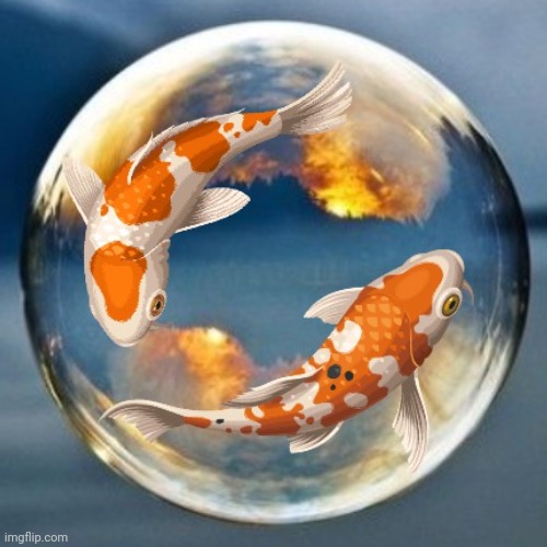 image tagged in koi,bubble | made w/ Imgflip meme maker