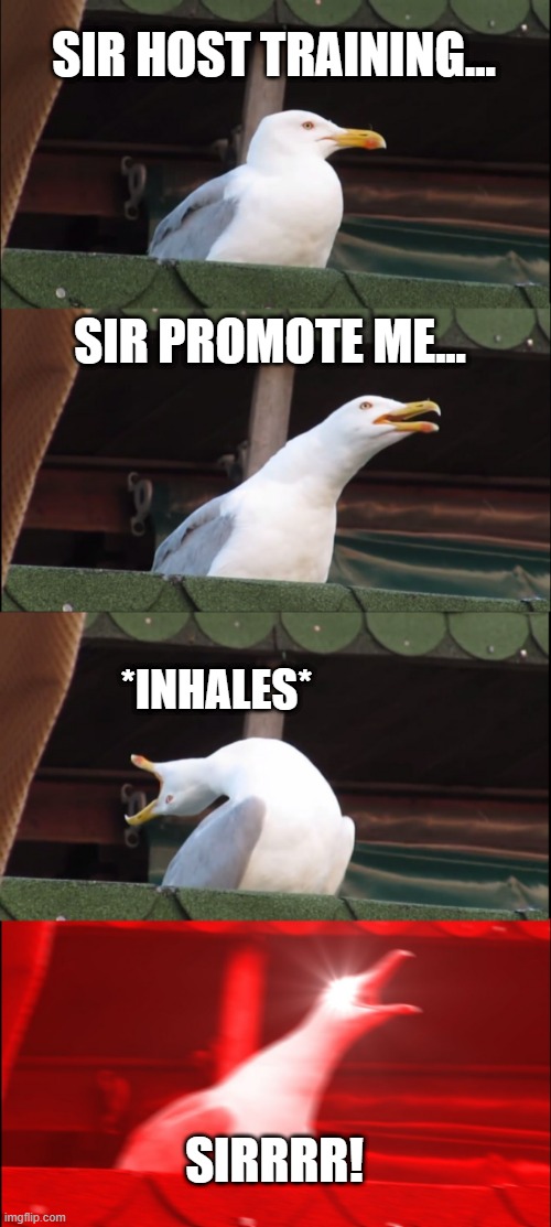 Inhaling Seagull Meme | SIR HOST TRAINING... SIR PROMOTE ME... *INHALES*; SIRRRR! | image tagged in memes,inhaling seagull | made w/ Imgflip meme maker