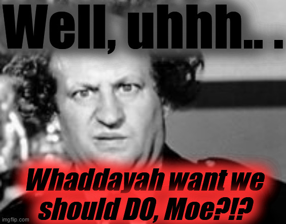 Stooged | Well, uhhh.. . Whaddayah want we
should DO, Moe?!? | image tagged in stooged | made w/ Imgflip meme maker