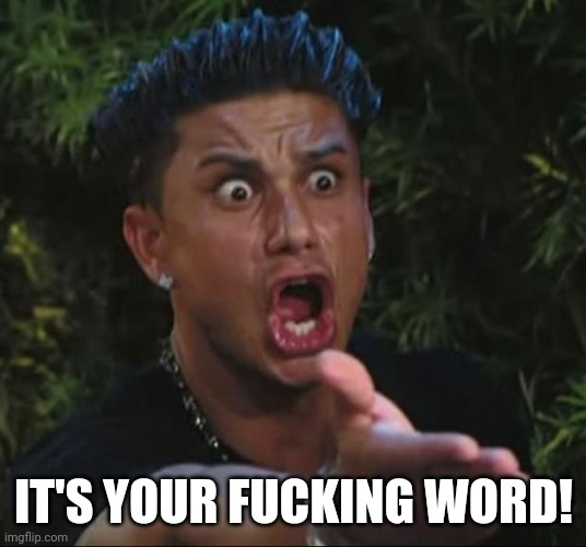 DJ Pauly D Meme | IT'S YOUR FUCKING WORD! | image tagged in memes,dj pauly d | made w/ Imgflip meme maker
