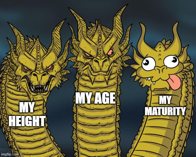 Three-headed Dragon | MY AGE; MY MATURITY; MY HEIGHT | image tagged in three-headed dragon | made w/ Imgflip meme maker
