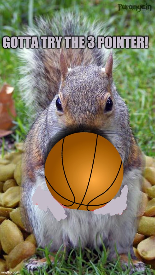 funny squirrels with guns (5) | GOTTA TRY THE 3 POINTER! | image tagged in funny squirrels with guns 5 | made w/ Imgflip meme maker
