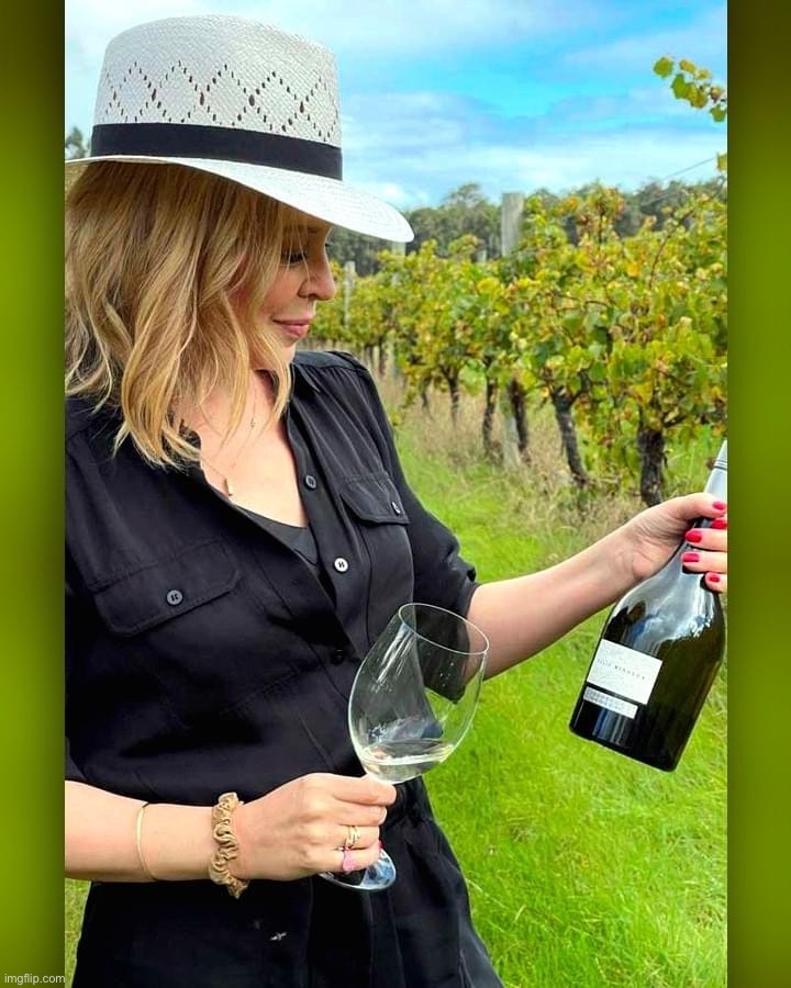 Kylie wine | image tagged in kylie wine | made w/ Imgflip meme maker