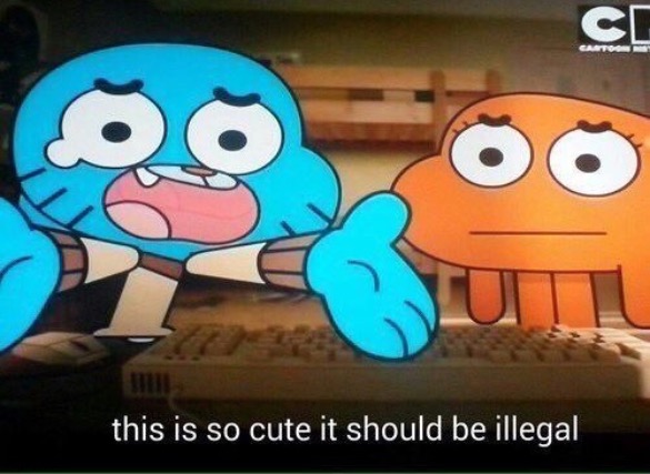 This Is So Cute It Should Be Illegal | image tagged in this is so cute it should be illegal | made w/ Imgflip meme maker