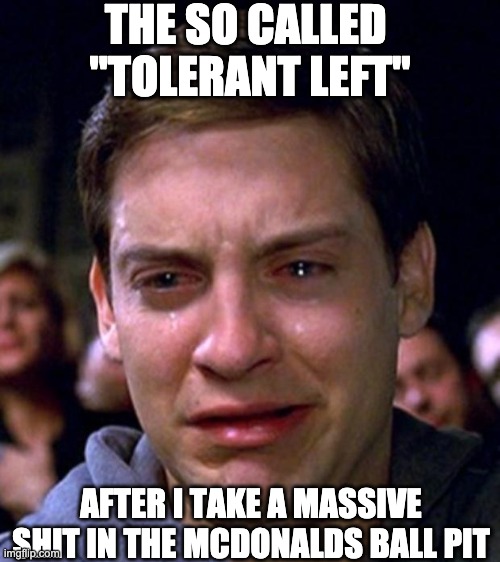 take that liberals | THE SO CALLED 
"TOLERANT LEFT"; AFTER I TAKE A MASSIVE SHIT IN THE MCDONALDS BALL PIT | image tagged in crying peter parker | made w/ Imgflip meme maker