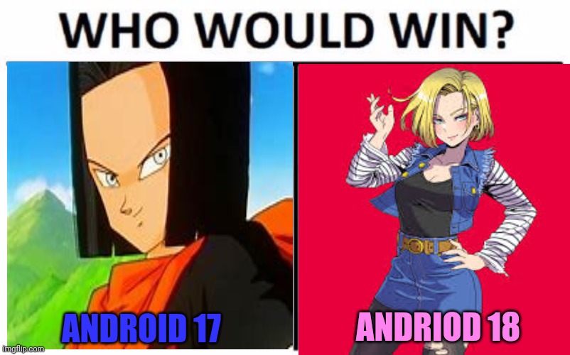 Andriod face off! | ANDROID 17 ANDRIOD 18 | image tagged in memes,who would win,dragon ball,andriod 18,anime girl,anime boi | made w/ Imgflip meme maker
