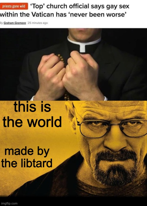 this is the world; made by the libtard | image tagged in breaking bad | made w/ Imgflip meme maker