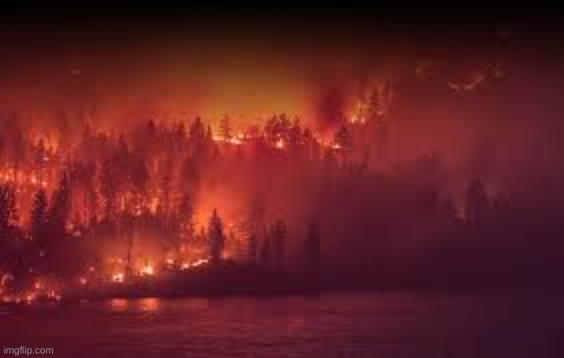 Damn... This is gorgeous | made w/ Imgflip meme maker