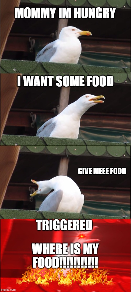 Triggered seagull | MOMMY IM HUNGRY; I WANT SOME FOOD; GIVE MEEE FOOD; TRIGGERED; WHERE IS MY FOOD!!!!!!!!!!! | image tagged in memes,inhaling seagull | made w/ Imgflip meme maker