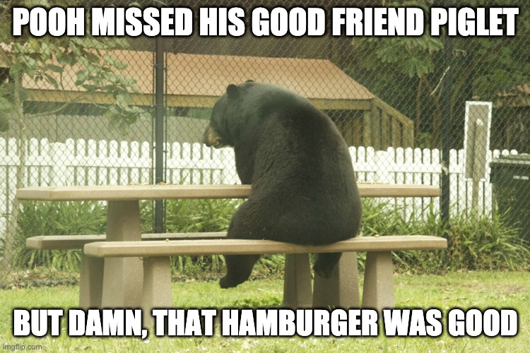 Childhood gone | POOH MISSED HIS GOOD FRIEND PIGLET; BUT DAMN, THAT HAMBURGER WAS GOOD | image tagged in sad bear | made w/ Imgflip meme maker