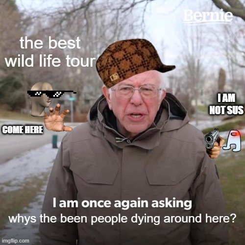 Bernie I Am Once Again Asking For Your Support | the best wild life tour; I AM NOT SUS; COME HERE; whys the been people dying around here? | image tagged in memes,bernie i am once again asking for your support | made w/ Imgflip meme maker