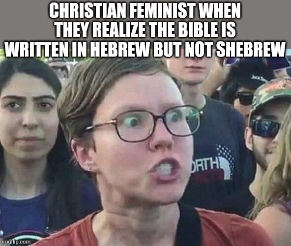 Triggered Liberal | CHRISTIAN FEMINIST WHEN THEY REALIZE THE BIBLE IS WRITTEN IN HEBREW BUT NOT SHEBREW | image tagged in triggered liberal,feminist,memes | made w/ Imgflip meme maker