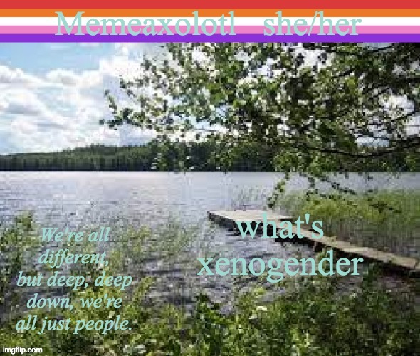 what's xenogender | what's xenogender | image tagged in memeaxolotl | made w/ Imgflip meme maker