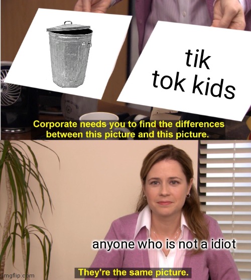 The truth | tik tok kids; anyone who is not a idiot | image tagged in memes,they're the same picture | made w/ Imgflip meme maker