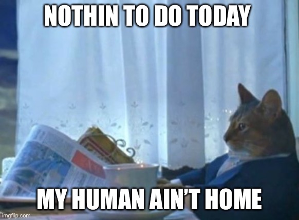 Have a nice Saturday! | NOTHIN TO DO TODAY; MY HUMAN AIN’T HOME | image tagged in memes,i should buy a boat cat | made w/ Imgflip meme maker