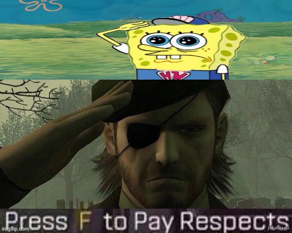 Press "F" to pay repects | image tagged in press f to pay repects | made w/ Imgflip meme maker