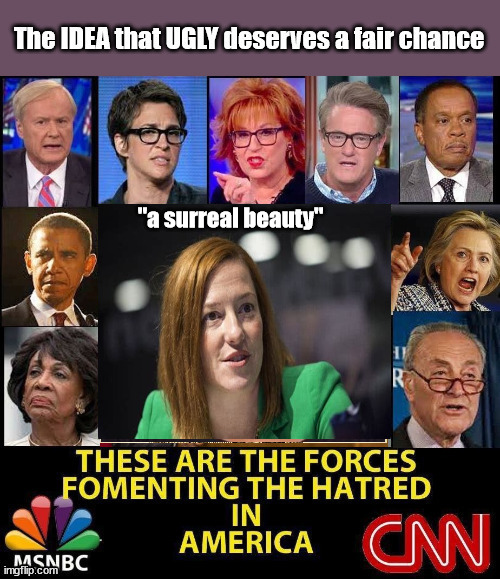 Psaki, The Idea that Ugly Deserves a Fair Chance | "a surreal beauty" | image tagged in psaki,vanity fair,second string,second stringers | made w/ Imgflip meme maker