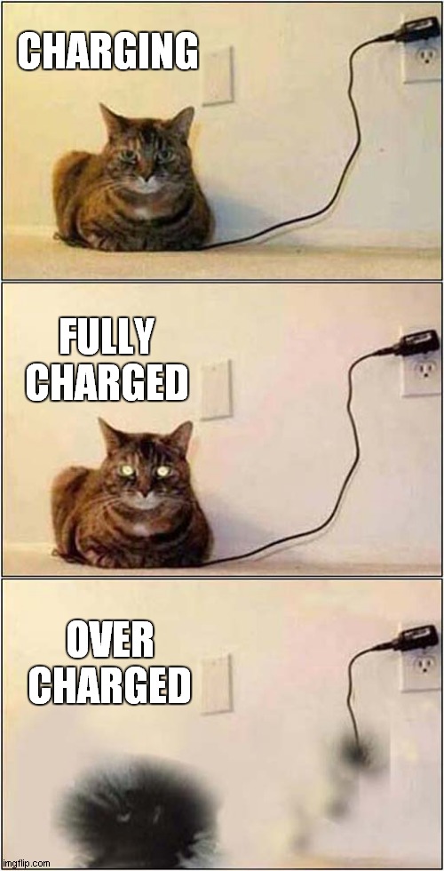 Faulty Cat Charger ! | CHARGING; FULLY CHARGED; OVER CHARGED | image tagged in cats,charger,fault | made w/ Imgflip meme maker