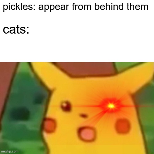 pickles are afraid of cats so... | pickles: appear from behind them; cats: | image tagged in suprised pikachu face | made w/ Imgflip meme maker