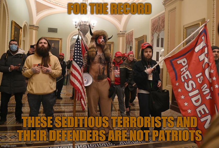 Viking Jake Angeli Capitol Riot Coup | FOR THE RECORD THESE SEDITIOUS TERRORISTS AND   THEIR DEFENDERS ARE NOT PATRIOTS | image tagged in viking jake angeli capitol riot coup | made w/ Imgflip meme maker