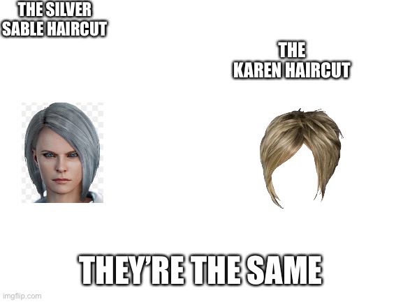 Karen hiarcut, na  Silver sable haircut, ya | THE SILVER SABLE HAIRCUT; THE KAREN HAIRCUT; THEY’RE THE SAME | image tagged in blank white template,when you realize,oh no | made w/ Imgflip meme maker