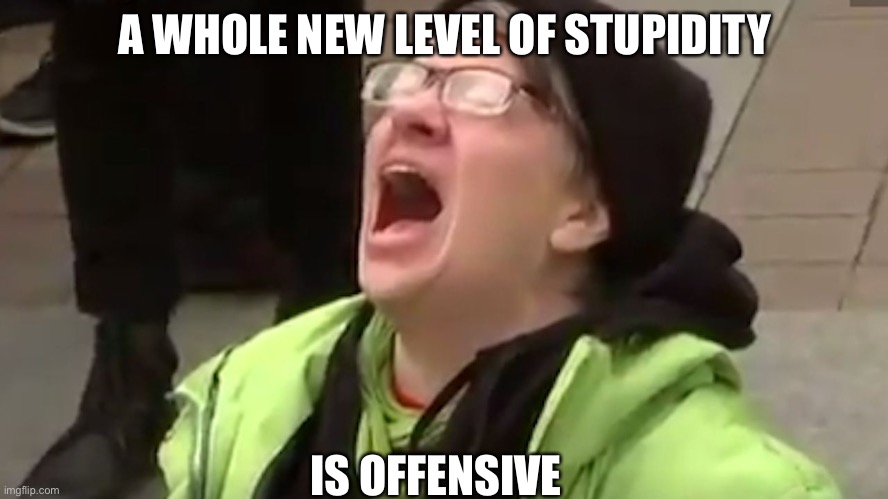 Screaming Liberal  | A WHOLE NEW LEVEL OF STUPIDITY IS OFFENSIVE | image tagged in screaming liberal | made w/ Imgflip meme maker