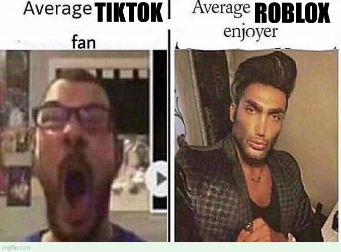 Average *BLANK* Fan VS Average *BLANK* Enjoyer | TIKTOK; ROBLOX | image tagged in average blank fan vs average blank enjoyer | made w/ Imgflip meme maker