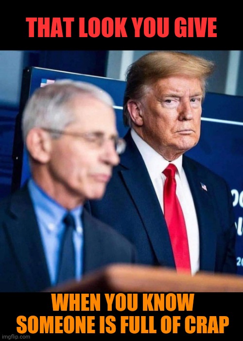 If looks could kill | THAT LOOK YOU GIVE; WHEN YOU KNOW SOMEONE IS FULL OF CRAP | image tagged in dr fauci,donald trump,that look you give,liars,coronavirus,politics | made w/ Imgflip meme maker