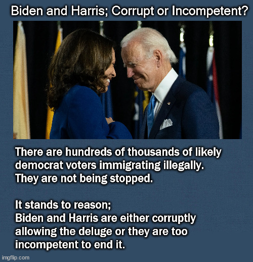 Biden and Harris; Corrupt or Incompetent? | Biden and Harris; Corrupt or Incompetent? There are hundreds of thousands of likely 
democrat voters immigrating illegally. 
They are not being stopped.
 
It stands to reason; 
Biden and Harris are either corruptly 
allowing the deluge or they are too
incompetent to end it. | image tagged in biden,harris,immigration,open border | made w/ Imgflip meme maker