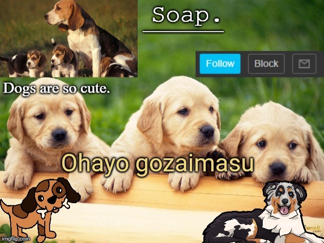 O genki desuka? | Ohayo gozaimasu | image tagged in soap doggo temp ty yachi | made w/ Imgflip meme maker