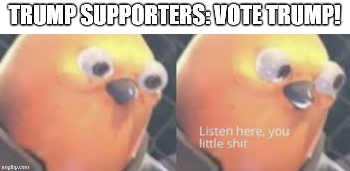 Trump sucks | TRUMP SUPPORTERS: VOTE TRUMP! | image tagged in listen here you little shit bird,trump | made w/ Imgflip meme maker
