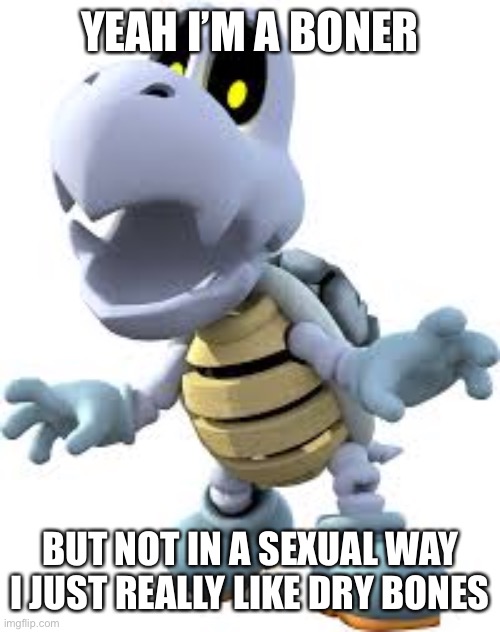 Yeah | YEAH I’M A BONER; BUT NOT IN A SEXUAL WAY I JUST REALLY LIKE DRY BONES | image tagged in dry bones,mario | made w/ Imgflip meme maker