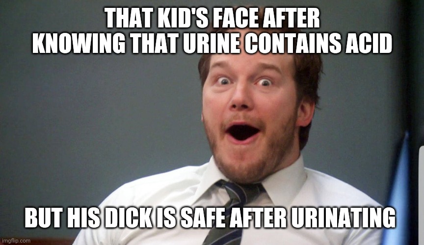Wow face |  THAT KID'S FACE AFTER KNOWING THAT URINE CONTAINS ACID; BUT HIS DICK IS SAFE AFTER URINATING | image tagged in wow face | made w/ Imgflip meme maker