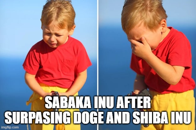 Crying kid with gun | SABAKA INU AFTER SURPASING DOGE AND SHIBA INU | image tagged in crying kid with gun | made w/ Imgflip meme maker