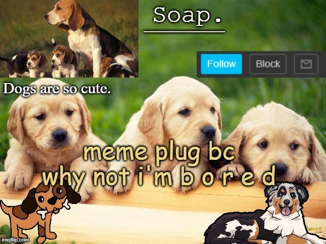 Soap doggo temp | meme plug bc why not i'm b o r e d | image tagged in soap doggo temp ty yachi | made w/ Imgflip meme maker