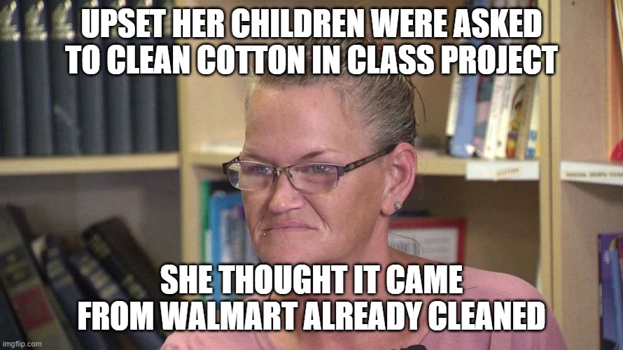 cotton mama | UPSET HER CHILDREN WERE ASKED TO CLEAN COTTON IN CLASS PROJECT; SHE THOUGHT IT CAME FROM WALMART ALREADY CLEANED | image tagged in school meme,crazy lady,washington | made w/ Imgflip meme maker