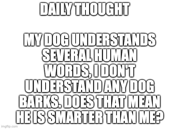 daily thought | MY DOG UNDERSTANDS SEVERAL HUMAN WORDS, I DON'T UNDERSTAND ANY DOG BARKS. DOES THAT MEAN HE IS SMARTER THAN ME? DAILY THOUGHT | image tagged in blank white template | made w/ Imgflip meme maker