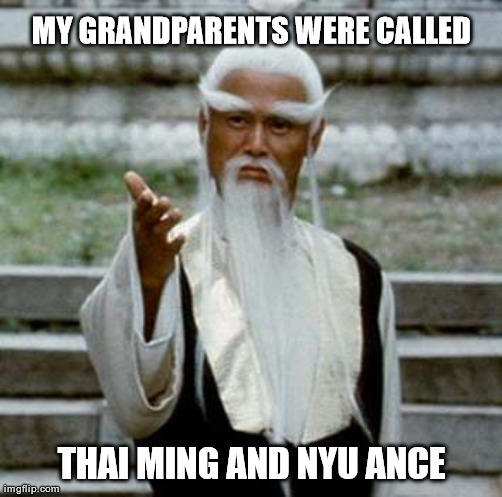 Asian Old Wise Man | MY GRANDPARENTS WERE CALLED; THAI MING AND NYU ANCE | image tagged in asian old wise man | made w/ Imgflip meme maker