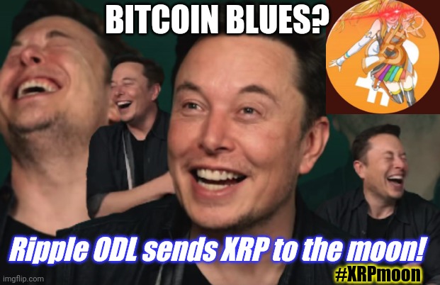 Elon Musk plays Cryptocurrency Blues Clues on Twitter. #XRPmoon | BITCOIN BLUES? Ripple ODL sends XRP to the moon! #XRPmoon | image tagged in elon musk laughing,bitcoin,dogecoin,blues clues,ripple,sailor moon | made w/ Imgflip meme maker