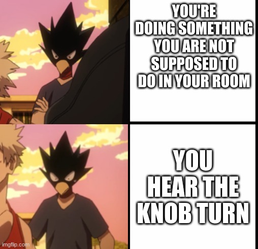 tokoyami drake format | YOU'RE DOING SOMETHING YOU ARE NOT SUPPOSED TO DO IN YOUR ROOM; YOU HEAR THE KNOB TURN | image tagged in tokoyami drake format | made w/ Imgflip meme maker