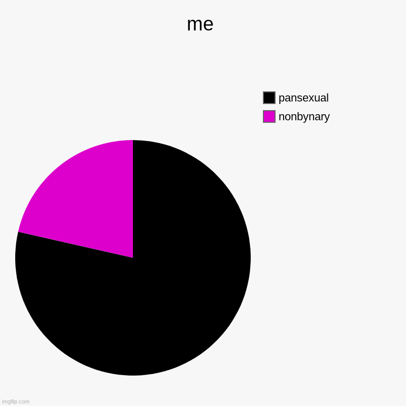 me | nonbynary, pansexual | image tagged in charts,pie charts | made w/ Imgflip chart maker