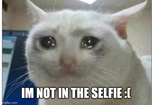 crying cat | IM NOT IN THE SELFIE :( | image tagged in crying cat | made w/ Imgflip meme maker