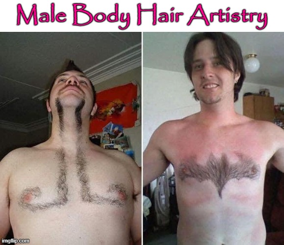 Male Body Hair Artistry | Male Body Hair Artistry | image tagged in chest | made w/ Imgflip meme maker