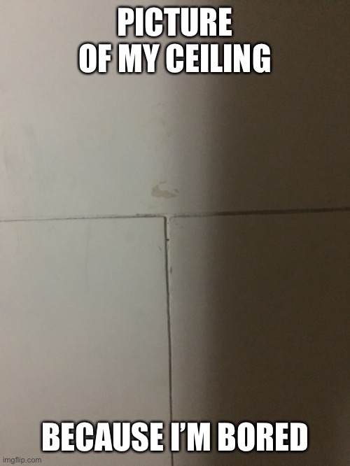 I can’t sleep and I don’t wanna sleep | PICTURE OF MY CEILING; BECAUSE I’M BORED | made w/ Imgflip meme maker