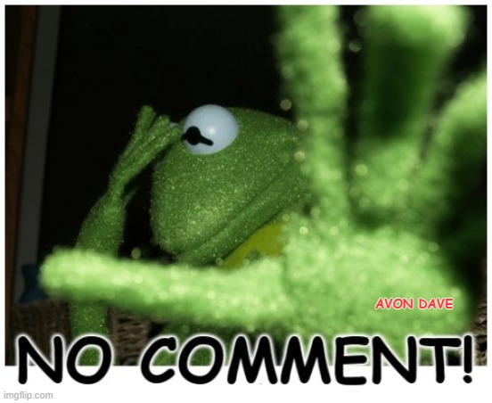 NO COMMENT | AVON DAVE | image tagged in no comment,kermit,leave me alone | made w/ Imgflip meme maker
