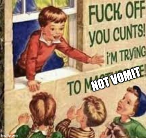 Stupid headache | NOT VOMIT | image tagged in fuck off you cunts i'm trying to masturbate | made w/ Imgflip meme maker