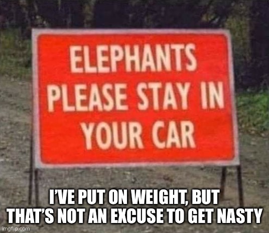 I’VE PUT ON WEIGHT, BUT THAT’S NOT AN EXCUSE TO GET NASTY | image tagged in overweight,fatty,elephants,funny signs | made w/ Imgflip meme maker